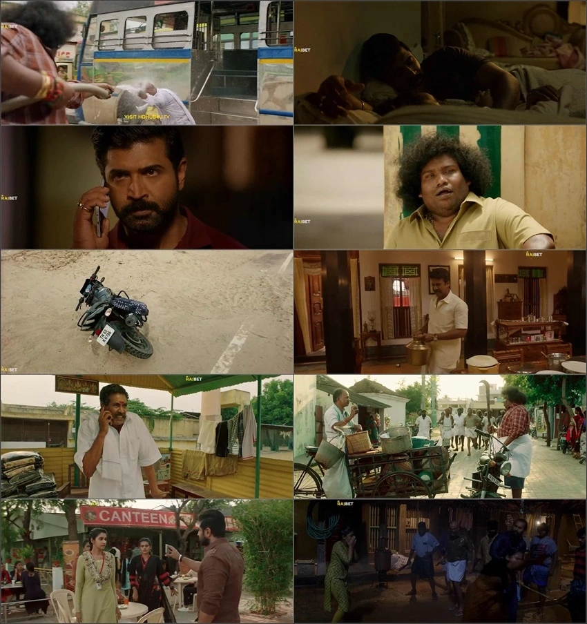 Download Yaanai (2022) Hindi & Tamil WEB-DL 480p 720p 1080p